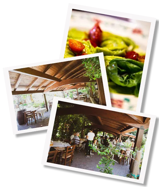immagine home page - 01 | Trattoria al fornello